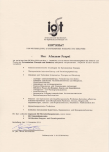 Johannes Faupel Certificate IGST Heidelberg